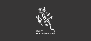 lms img-36